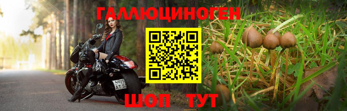 Татарск  Галлюциногенные грибы Psilocybine cubensis  Вход с VPN 